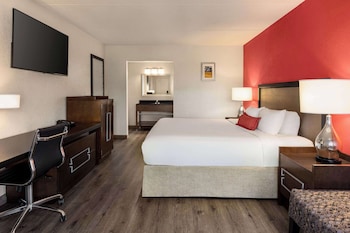 Room, 1 King Bed, Accessible, Non Smoking (Roll-In Shower)