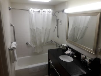 Room, 1 King Bed, Accessible, Non Smoking (Roll-In Shower)