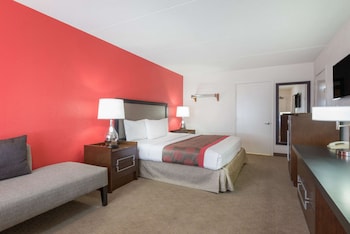 Room, 1 King Bed, Non Smoking