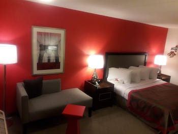 Room, 1 King Bed, Non Smoking