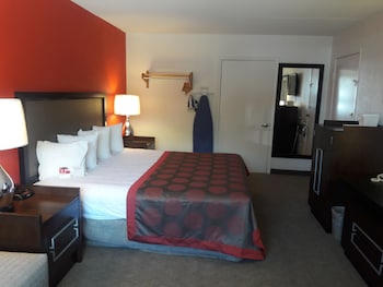 Room, 1 King Bed, Non Smoking