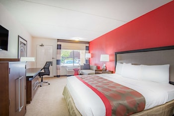 Room, 1 King Bed, Non Smoking
