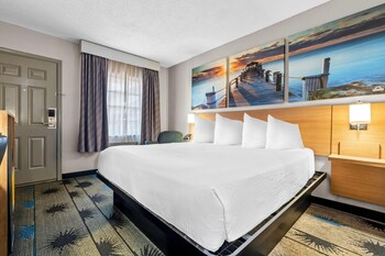 Room, 1 King Bed (Exterior Room)