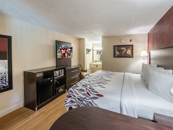 Superior Room, 1 King Bed, Non Smoking, Jetted Tub