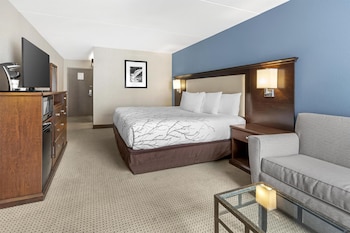 Standard Room, 1 King Bed, Refrigerator & Microwave, Courtyard View