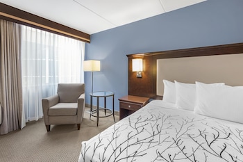 Standard Room, 1 King Bed, Accessible, Bathtub