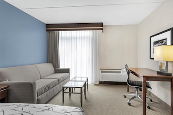 Standard Room, 1 King Bed, Refrigerator & Microwave, Courtyard View