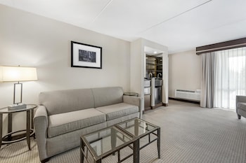 Suite, 1 King Bed, Refrigerator & Microwave, Courtyard View (with Sofabed)