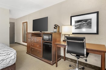 Standard Room, 1 Queen Bed, Non Smoking, Refrigerator & Microwave