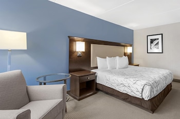 Standard Room, 1 King Bed, Accessible, Bathtub
