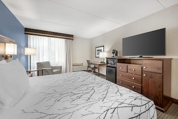 Standard Room, 1 King Bed, Accessible, Non Smoking