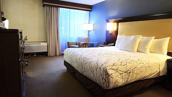 Standard Room, 1 King Bed, Accessible, Bathtub
