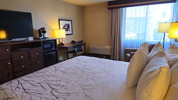 Standard Room, 1 King Bed, Non Smoking, Refrigerator & Microwave