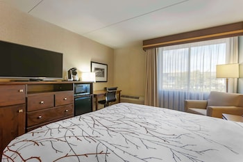 Standard Room, 1 King Bed, Accessible, Non Smoking