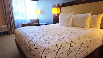 Standard Room, 1 King Bed, Non Smoking, Refrigerator & Microwave