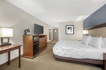Standard Room, 1 King Bed, Accessible, Non Smoking