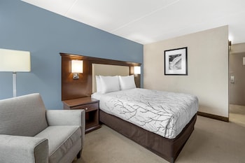 Standard Room, 1 Queen Bed, Non Smoking, Refrigerator & Microwave