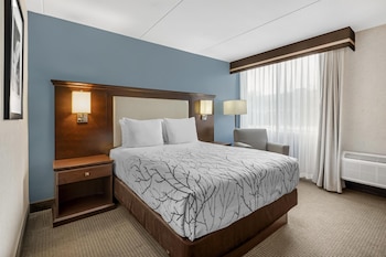 Standard Room, 1 Queen Bed, Accessible, Bathtub