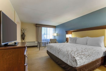 Standard Room, 1 King Bed, Accessible, Bathtub