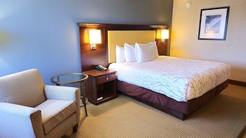 Standard Room, 1 King Bed, Non Smoking, Refrigerator & Microwave