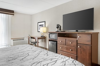 Standard Room, 1 King Bed, Refrigerator & Microwave, Courtyard View