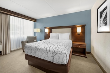 Standard Room, 1 Queen Bed, Non Smoking, Refrigerator & Microwave