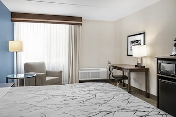 Standard Room, 1 King Bed, Non Smoking, Refrigerator & Microwave
