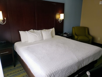 Standard Room, 1 King Bed, Non Smoking (Pet Friendly)