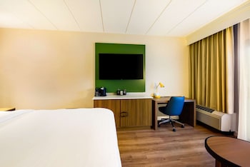 Deluxe Room, 1 King Bed with Sofa bed, Accessible (Mobility/Hearing Roll in Shower)
