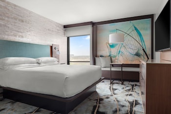 Executive Suite, 1 King Bed