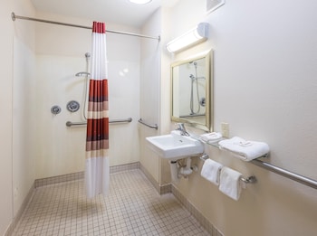 Standard Room, 1 King Bed, Accessible, Non Smoking (Roll-In Shower)
