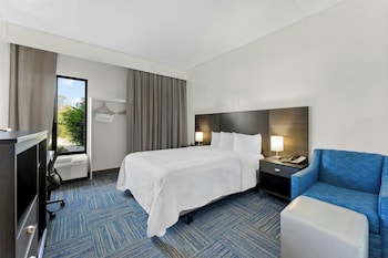 Deluxe Room, 1 Queen Bed, Roll-in Shower, Non Smoking