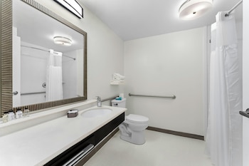Deluxe Room, 1 Queen Bed, Roll-in Shower, Non Smoking