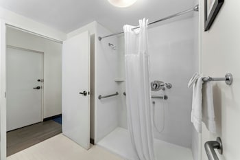Deluxe Room, 1 Queen Bed, Roll-in Shower, Non Smoking