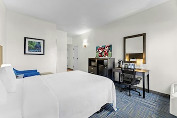 Deluxe Room, 1 Queen Bed, Roll-in Shower, Non Smoking