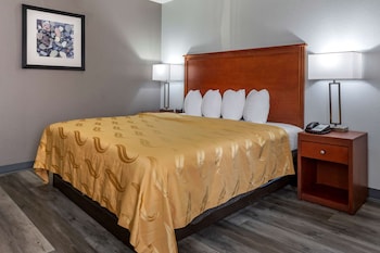 Standard Room, 1 King Bed, Non Smoking