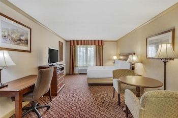 Standard Studio, 1 King Bed, Non Smoking, Kitchenette