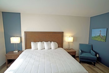 Room, 1 King Bed, Mobility Accessible, Non Smoking (Mobility, Roll-in Shower)
