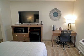 Room, 1 Queen Bed, Non Smoking