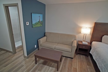 Room, 1 King Bed, Non Smoking