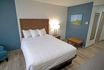 Room, 1 Queen Bed, Non Smoking
