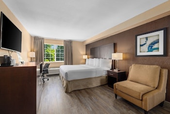Room, 1 King Bed, Non Smoking