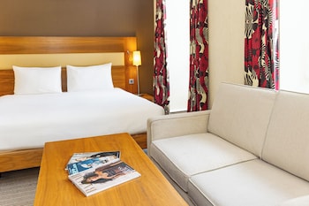Room, 1 King Bed with Sofa bed