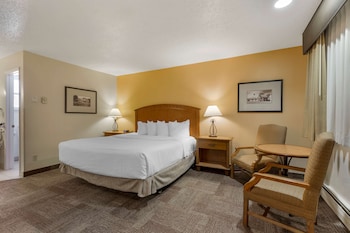 Standard Room, 1 King Bed, Non Smoking, Refrigerator & Microwave