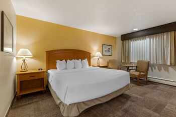 Standard Room, 1 King Bed, Non Smoking, Refrigerator & Microwave