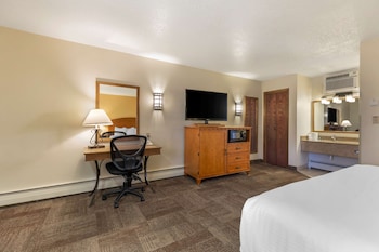 Standard Room, 1 King Bed, Non Smoking, Refrigerator & Microwave