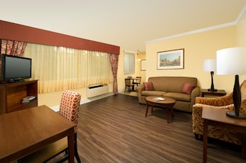 Deluxe Suite, 1 Bedroom
