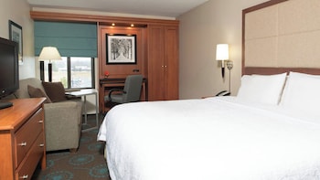 Standard Studio Suite, 1 King Bed with Sofa bed Accessible Roll-In Shower