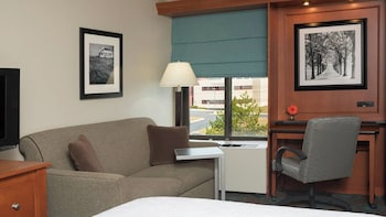 Standard Studio Suite, 1 King Bed with Sofa bed Accessible Roll-In Shower