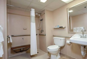 Standard Studio Suite, 1 King Bed with Sofa bed Accessible Roll-In Shower